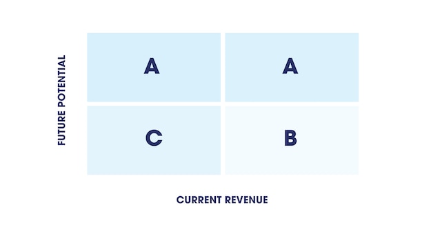 Example of a sales account prioritisation matrix.